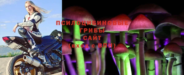 ешки Ельня