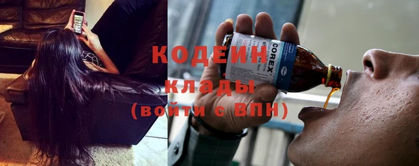 ешки Ельня