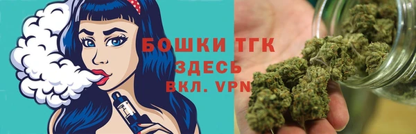 ешки Ельня