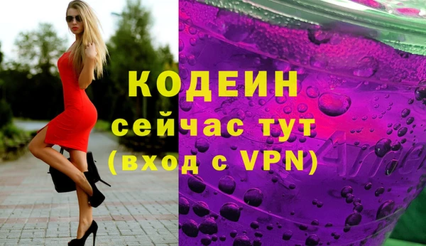 хмурый Елизово