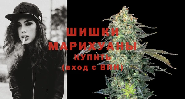 ешки Ельня