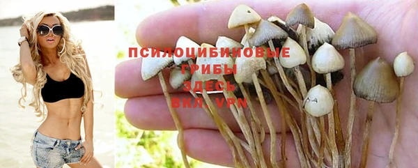 ешки Ельня